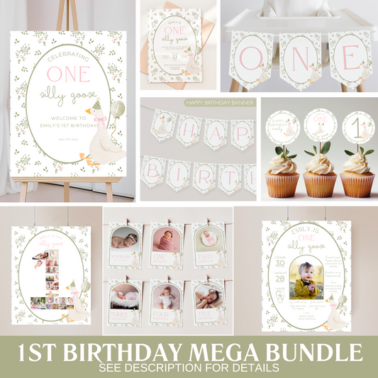 Floral One Silly Goose Birthday Bundle