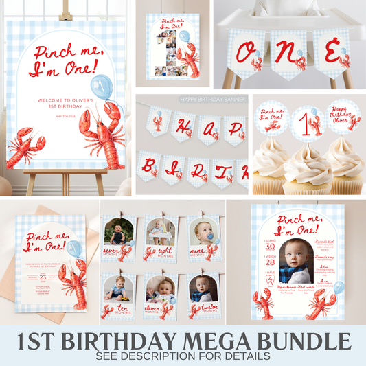 Blue Pinch Me I'm One Birthday Party Set (Everything You Need)