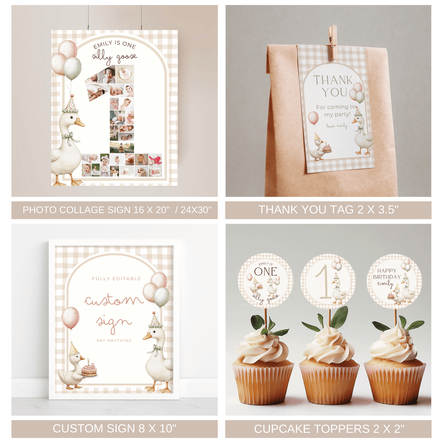 One Silly Goose Birthday Bundle