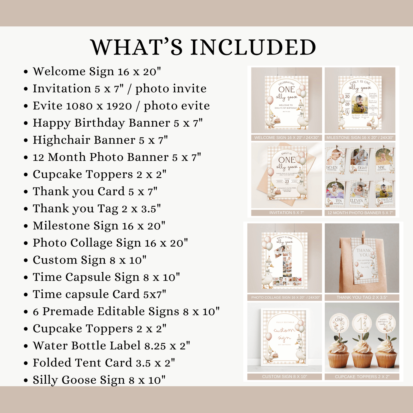 One Silly Goose Birthday Bundle