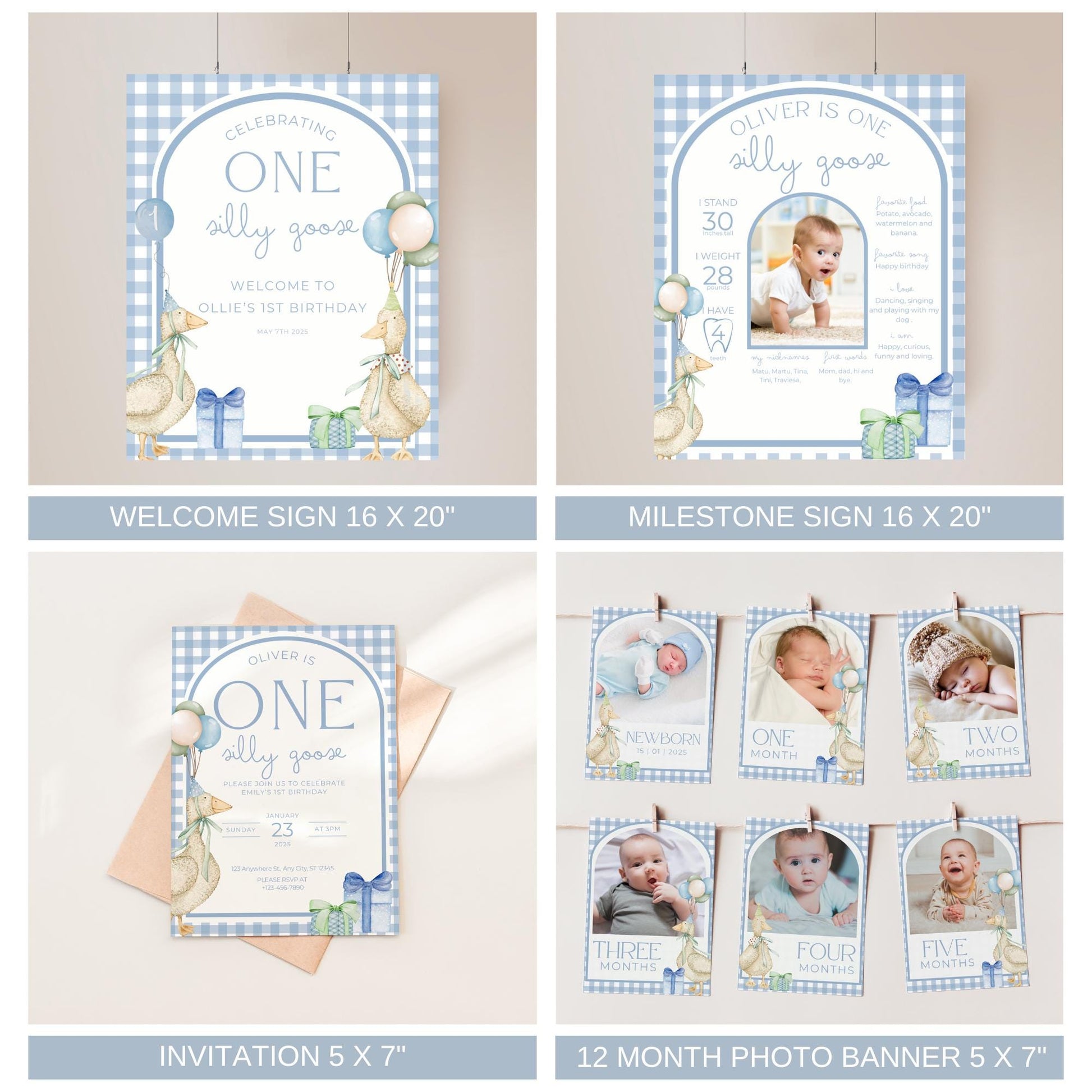 One Silly Goose Birthday Invite Goose First Birthday Party Decor One Silly Goose 1st Birthday Bundle Goose Theme Party Goose Birthday Decor